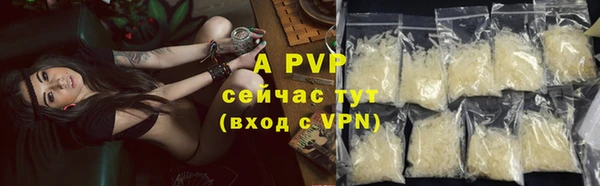 PSILOCYBIN Елизово