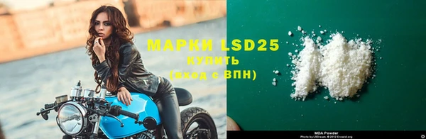 PSILOCYBIN Елизово
