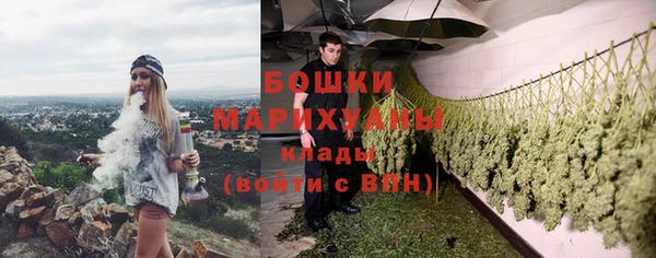 PSILOCYBIN Елизово