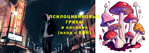 прущая мука Елабуга