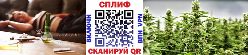 Конопля сатива  Купить закладки  Карачев 